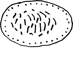Skabesti_kaposti