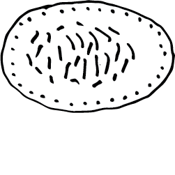 Skabesti_kaposti