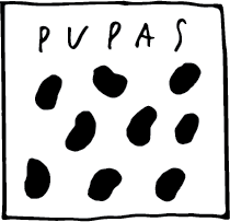 Pupas