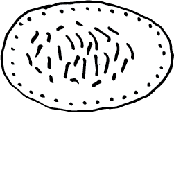 Skabesti_kaposti
