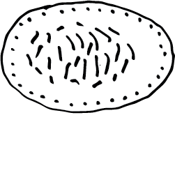 Skabesti_kaposti
